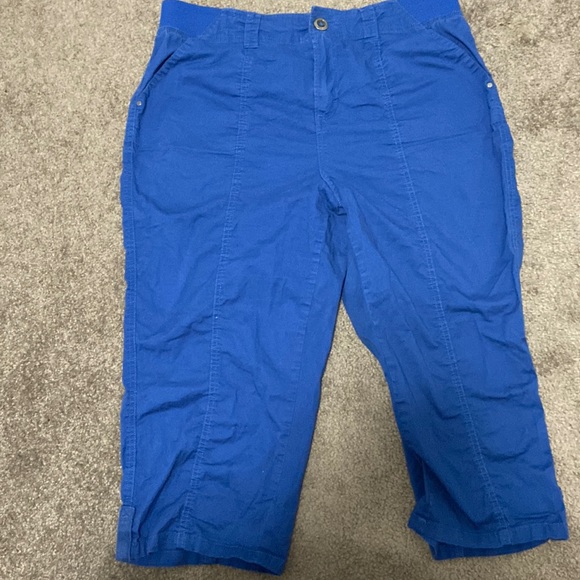 Blue Capris - Picture 1 of 2
